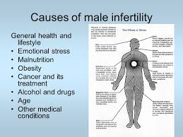 what male infertility lifestyle