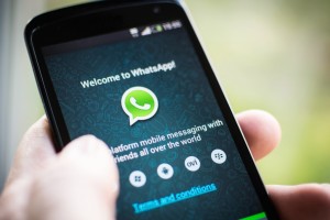 disadvantages of whatsapp business account