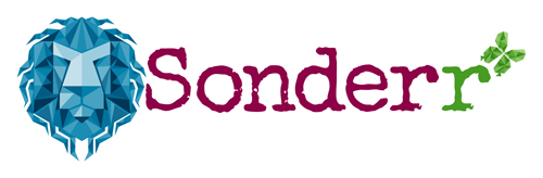 Sonderr Platform For Connecting Ideas